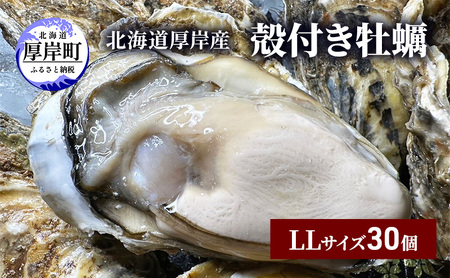 北海道 厚岸産 ブランド牡蠣 マルえもん 殻付き 牡蠣 LLサイズ 30個 【光輝】 [ 魚貝類 生牡蠣 海鮮 海の幸 生食用牡蠣 生食用 生食用殻付き牡蠣 濃厚 甘み  オイスター ]  