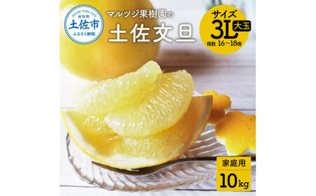 【先行予約】文旦 約10kg 家庭用 大玉 〈2027年2月1日から3月31日頃発送〉土佐文旦 高知 ぶんたん ブンタン 期間限定 数量限定 3Lサイズ 16〜18個 果物 柑橘 フルーツ 高知県産 家庭用 ご自宅用 傷 美味しい【マルツジ果樹園】[BQAN002]