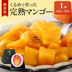 【2026年6月以降お届け】くるめで育った完熟マンゴー（1玉：約450～500g）_先行予約 贈答用 くるめで育った 完熟マンゴー 1個 約 450g~500g 甘い 子供も安心 高糖度 地植栽培 ビタミンA トロピカル フルーツ 果物 マンゴー 国産 クール便 先行受付 ギフト お取り寄せ 福岡県 久留米市 送料無料 〔Fm015〕