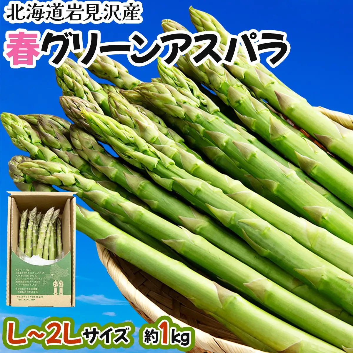 【令和8年産】北海道岩見沢産 春グリーンアスパラ 2Lサイズ 1kg【41103】