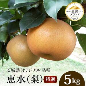 【 JA 北つくば 】 筑西ブランド 認証品 特選!! 恵水 5kg 2026年産 先行予約 梨