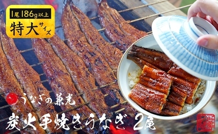 炭火手焼き 愛知県三河一色産　うなぎ蒲焼き　特大　2尾（1尾あたり186g以上） 国産うなぎ うなぎ ウナギ 鰻 鰻の蒲焼き 鰻の蒲焼 蒲焼 蒲焼き 土用 土用の丑の日 ・U037-17