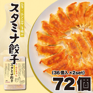 【大阪名物】大阪ふくちぁんスタミナ餃子 冷凍生餃子 72個 ［36個入×2セット］