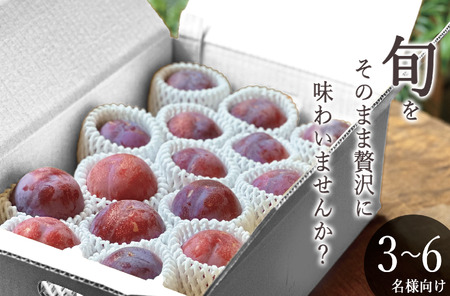 ＜2026年発送先行予約＞南アルプス市産 貴陽 約3kg（11～14個入り） ALPAL014