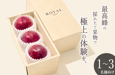 ＜2026年発送先行予約＞南アルプス市産 大玉貴陽 3個入り 約800g ALPAL013