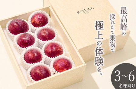 ＜2026年発送先行予約＞南アルプス市産 大玉貴陽 8個入り 約2.1kg ALPAL012