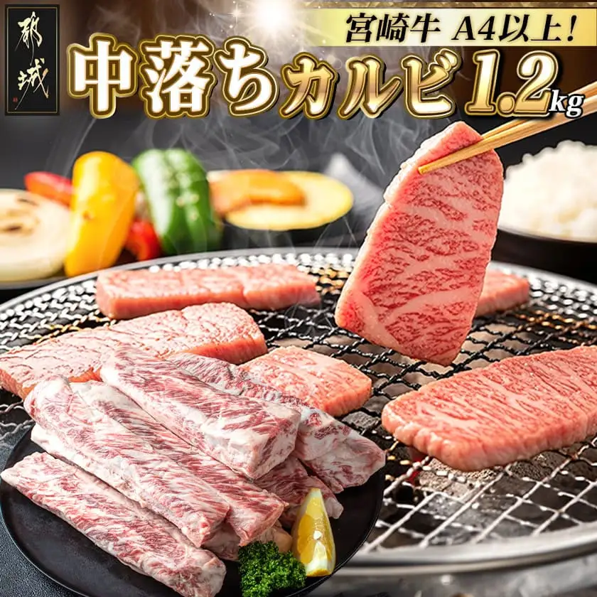 宮崎牛中落ち1.2kg〔MJ-2509〕_(都城市) 宮崎県産宮崎牛 A4ランク以上 牛中落ち肉 600g 2パック 牛中落ちカルビ ゲタ 中バラ 国産 牛バラ肉 カレー おでん 煮込み料理