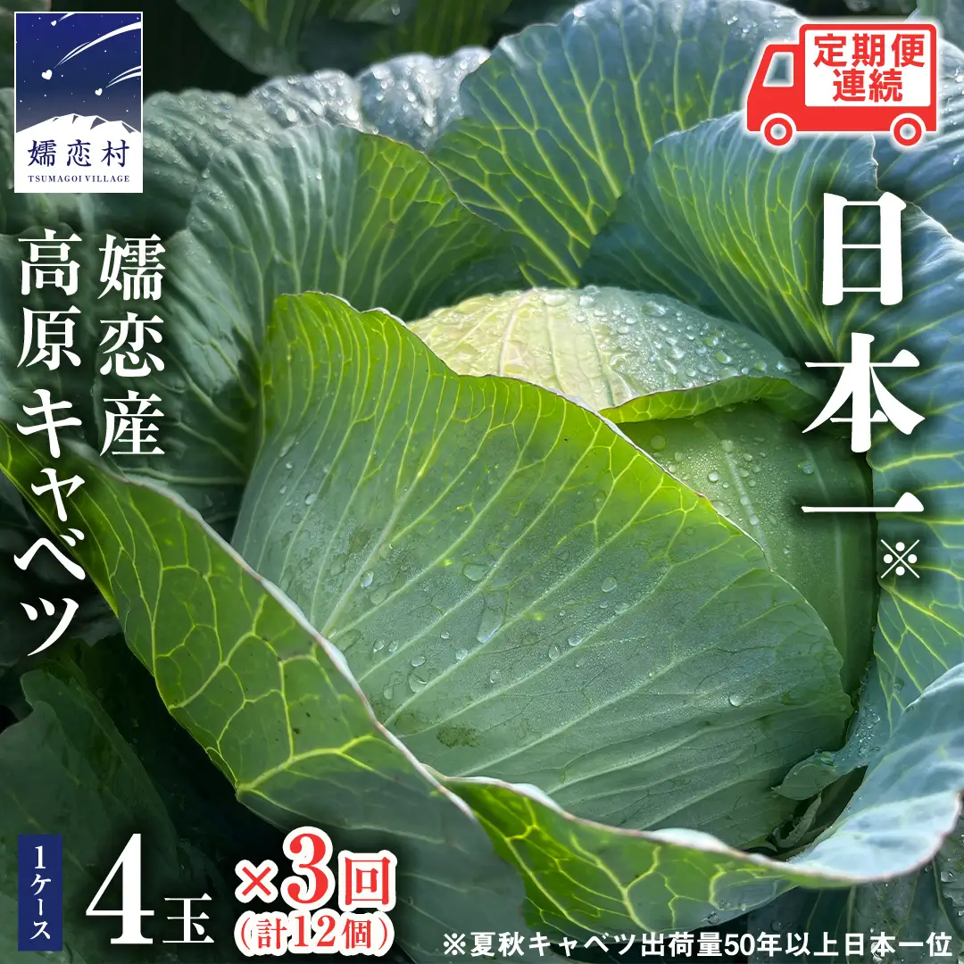 ＜レビューキャンペーン開催中＞【7月中旬発送開始】 嬬恋キャベツ 定期便 嬬恋産 高原 キャベツ 4玉 1ケース  3ヶ月連続 Lサイズ 先行予約 2026年発送 [AS004tu]