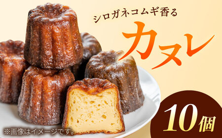 シロガネコムギ香る カヌレ / 焼き菓子 [ICZ002]
