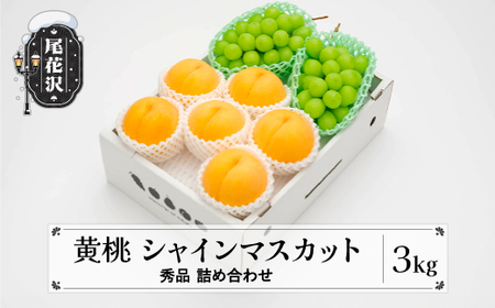 先行予約  有袋黄桃 シャインマスカット 秀品 詰め合わせ 計3kg 2026年産 令和8年産 ns-fsosx3-b