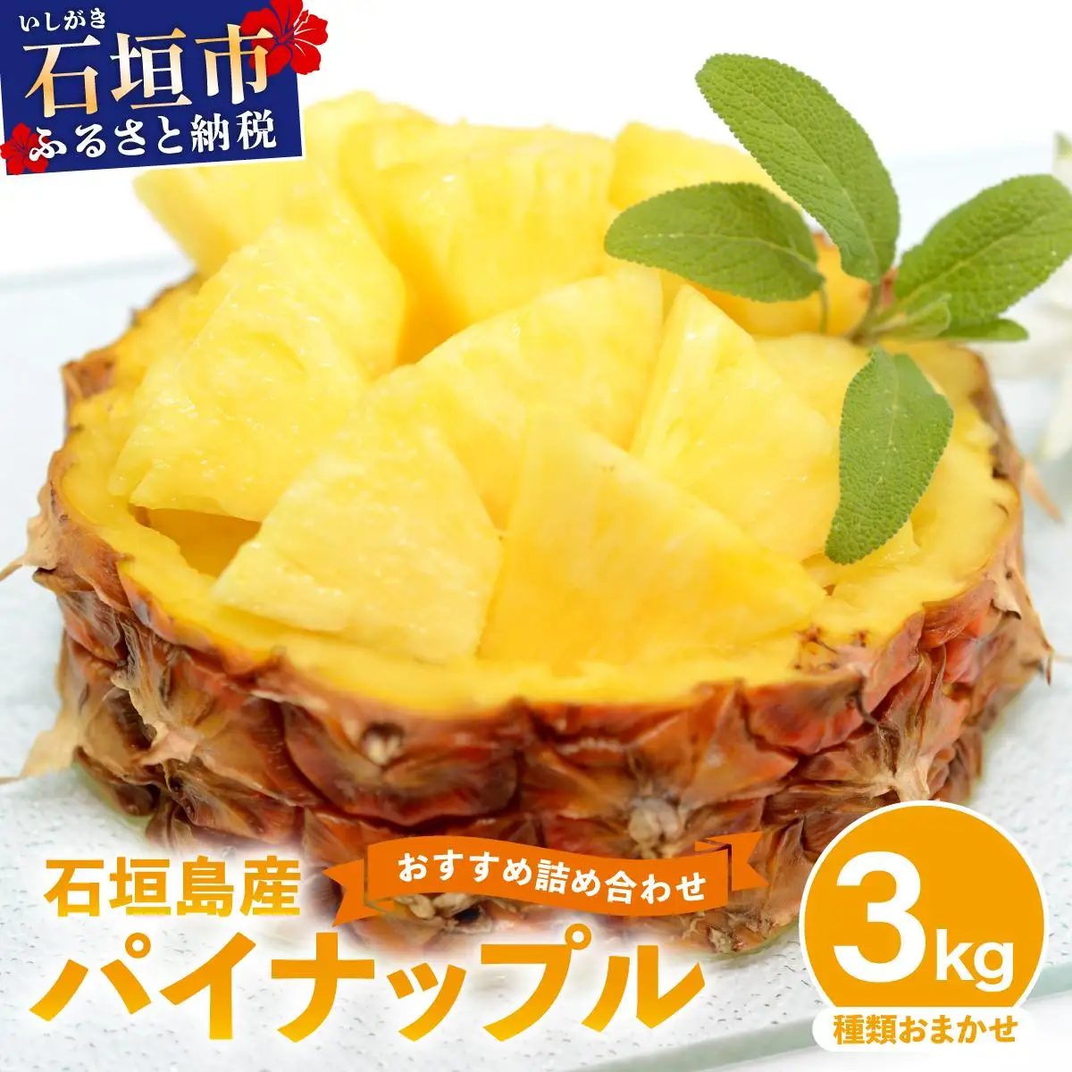 石垣島産パイナップル 2～6個 約3kg  KP-14