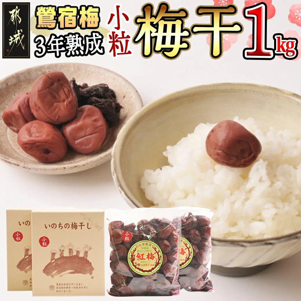 徳重おばあちゃんの3年熟成小粒梅干し1kg_MJ-4904_(都城市) 紅梅 いのちの梅干し うめぼし(500g×2) 塩分12％ 長期熟成 自家農園 伝統農法 お弁当 おにぎり ごはんのお供に なつかしい味の梅干し おうち時間