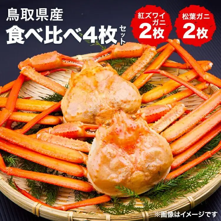  鳥取県産 松葉ガニ と 紅 ズワイガニ の食べ比べセット | カニ 松葉ガニ ズワイ 美味しさに 訳あり 大容量 ※着日指定不可※離島への配送不可※2027年2月上旬～3月下旬頃に順次発送予定