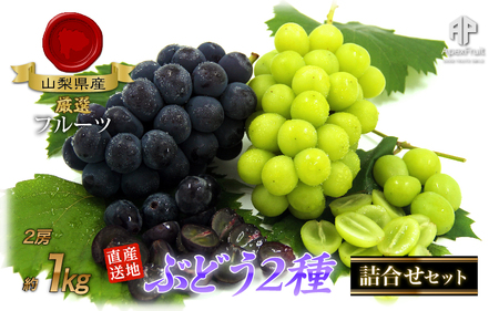 【2026年発送先行予約】厳選！南アルプス市産　ぶどう２種詰合せ　2房　約1.0kg ALPDD008