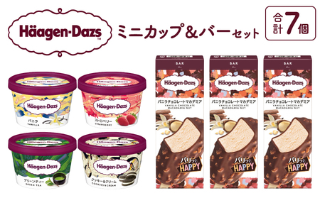 ハーゲンダッツ ミニカップ＆バーセット アイス スイーツ デザート_H0016-171