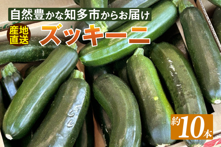 ★先行予約★【産地直送】ズッキーニ　約10本