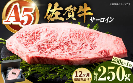 ＜全12回定期便＞佐賀牛サーロインステーキ250ｇ HCS055 ステーキ 牛肉