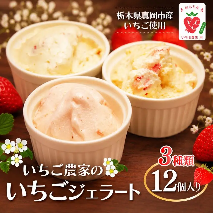 【2026年 5月以降発送】いちご農家の『いちごジェラート ３種』 12個入り