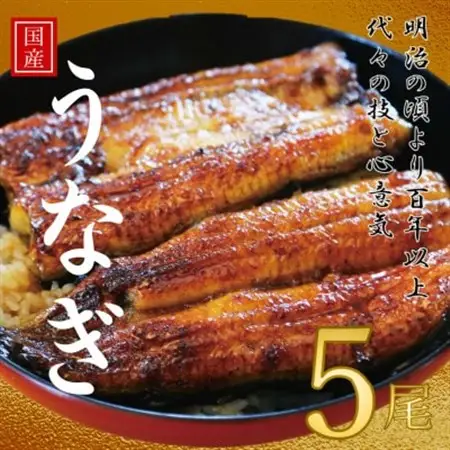 鰻の老舗　千葉県いすみ市藤井のうなぎ白焼き(5匹)_うなぎ 鰻 白焼き 老舗 藤井_【配送不可地域：離島・沖縄県】【1391284】