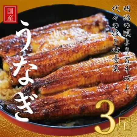 鰻の老舗　千葉県いすみ市藤井のうなぎ白焼き(3匹)_うなぎ 鰻 白焼き 老舗 藤井_【配送不可地域：離島・沖縄県】【1391298】