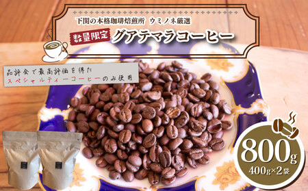 【深煎り】訳ありコーヒー粉800g グアテマラ 自家焙煎コーヒー EW
