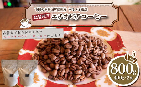 【中煎り】訳ありコーヒー粉800g エチオピア 自家焙煎コーヒー EW