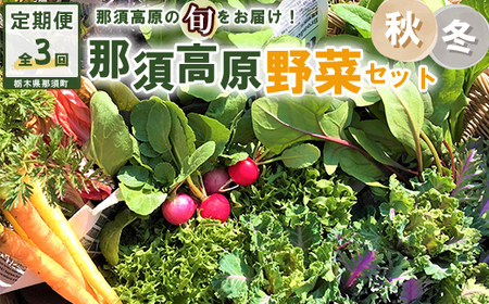 【3か月定期便】那須ブランド 秋冬の那須高原野菜セット ｜ 野菜 お野菜 新鮮 詰め合わせ やさい みずみずしい 美味しい 自然 栃木県 那須町〔D-59〕 ※北海道・沖縄・離島への配送不可 ※2026年9月上旬～11月下旬頃に順次発送予定
