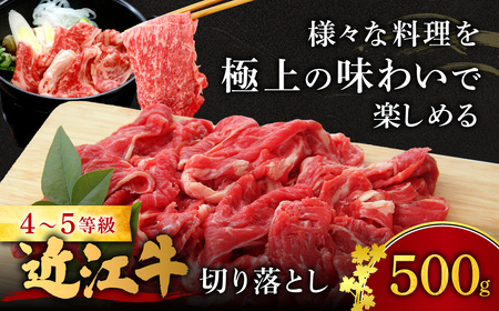 近江牛切り落とし 500ｇ 西川精肉店 滋賀県 東近江市 A-A25 和牛 牛肉 肉 切り落とし 焼肉 すき焼き 炒め物 ギフト お取り寄せ 高級 近江牛