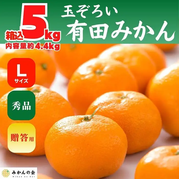 みかん Lサイズ 秀品 箱込 5kg (内容量約 4.4kg) 有田みかん 和歌山県産 産地直送 贈答用 ［2026年11月中旬より順次出荷予定］［みかんの会］
