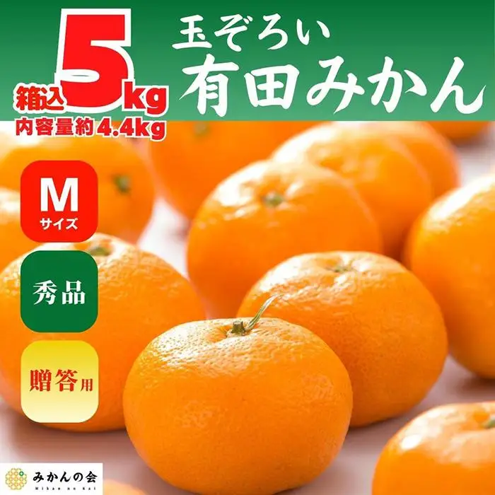 みかん Ｍサイズ 秀品 箱込 5kg (内容量約 4.4kg) 有田みかん 和歌山県産 産地直送 贈答用 ［2026年11月中旬より順次出荷予定］［みかんの会］