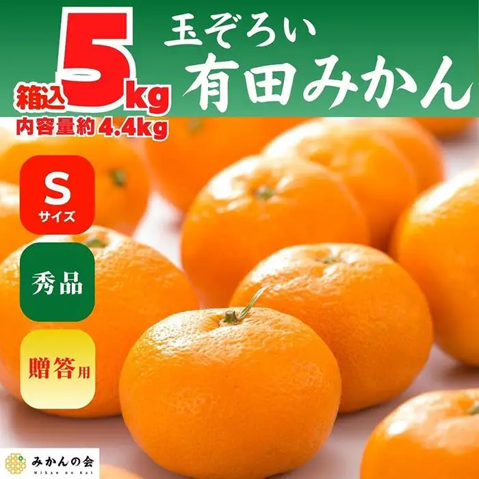 みかん Sサイズ 秀品 箱込 5kg (内容量約 4.4kg) 有田みかん 和歌山県産 産地直送 贈答用 ［2026年11月中旬より順次出荷予定］［みかんの会］