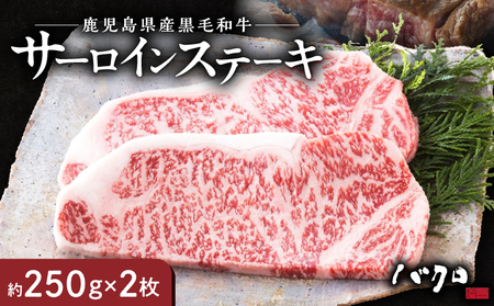 サーロインステーキ 250g×2枚 A152-001 サーロイン ステーキ 牛肉 国産 黒毛和牛 黒毛 和牛 脂の旨み 焼肉 鉄板焼き お料理 ごはんのおかず 食品