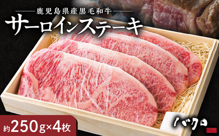 サーロインステーキ 1枚250g 4枚入り A152-002 サーロイン ステーキ 牛肉 国産 黒毛和牛 黒毛 和牛 脂の旨み 焼肉 鉄板焼き お料理 ごはんのおかず 食品