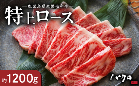 特上ロース焼肉 1200g A152-006 ロース 牛肉 国産 黒毛和牛 黒毛 和牛 脂の旨み 焼肉 鉄板焼き お料理 ごはんのおかず 食品