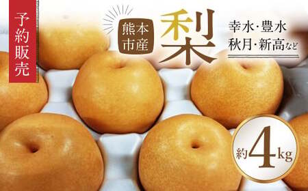 熊本市産 梨 （幸水 ・ 豊水 ・ 秋月 ・ 新高 など） 約4kg 【2026年8月下旬～9月下旬迄発送予定】 果物 フルーツ ナシ