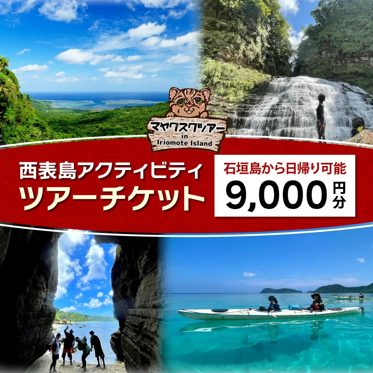 西表島 アクティビティ ツアーチケット 9,000円 