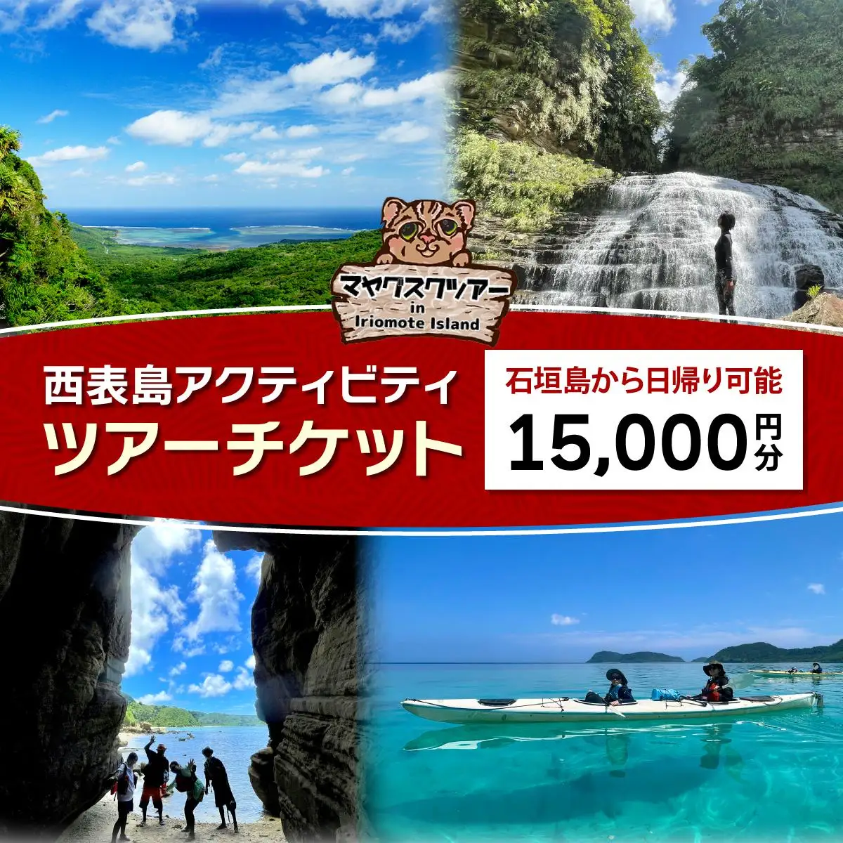 西表島 アクティビティ ツアーチケット 15,000円 