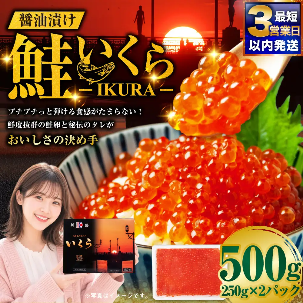 【最短3営業日以内発送】いくら 醤油漬け 250g×2パック 計500g 北海道 釧路 ふるさと納税 いくら イクラ 丼 ごはんのお供 魚介類 海鮮 魚卵 海産物 F5F-0098