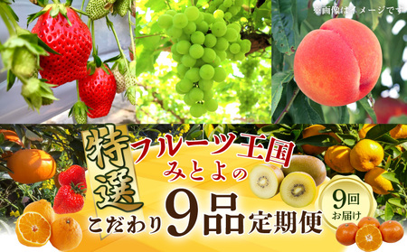 フルーツ王国みとよの特選こだわり9品定期便