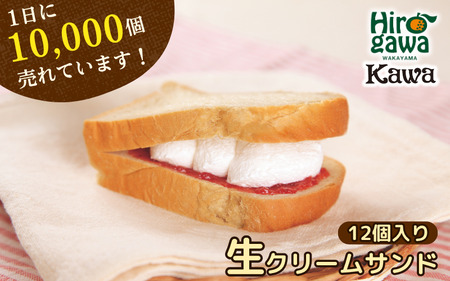 パン工房 カワ の 生クリーム サンド 12個入 / スイーツ パン 洋菓子 お菓子 和歌山 【kwa112-nama-12】