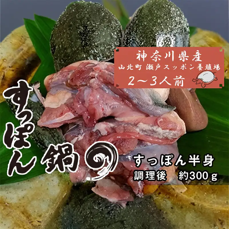 神奈川県産すっぽん鍋（２～３人前　約300ｇ）【 すっぽん 鍋 国産 肉 神奈川県 山北町 】