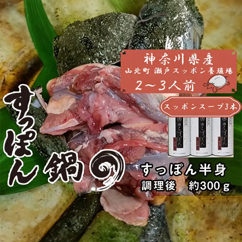 神奈川県産すっぽん鍋（２～３人前　約300ｇ）+すっぽんスープ３本 【 すっぽん 鍋 スープ 国産 肉 神奈川県 山北町 】