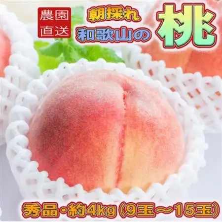 【農園直送】朝採れの和歌山の桃　約4kg・秀品【2026年度発送分】(日高町)【配送不可地域：離島・北海道・沖縄県】【1218059】