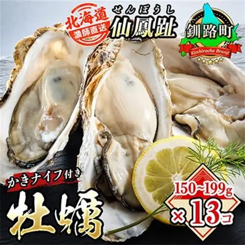 仙鳳趾名産 牡蠣 150～199g×13個+かきナイフ付K4-3_仙鳳趾 センポウシ せんぽうし 牡蠣 カキ 生食用 殻付き 牡蠣 絶品 産地直送 北海道 釧路町 釧路超 特産品 _【配送不可地域：離島・沖縄県・信越、北陸・東海・近畿・中国・四国・九州】【1294853】