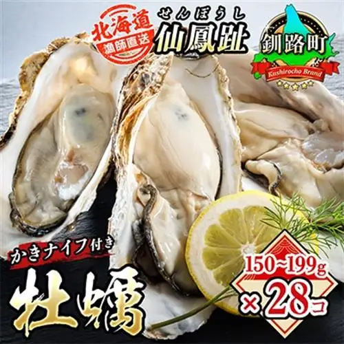 仙鳳趾名産 牡蠣 150～199g×28個+かきナイフ付K4-4_仙鳳趾 センポウシ せんぽうし 牡蠣 カキ 生食用 殻付き 牡蠣 絶品 産地直送 北海道 釧路町 釧路超 特産品 _【配送不可地域：離島・沖縄県・信越、北陸・東海・近畿・中国・四国・九州】【1294862】