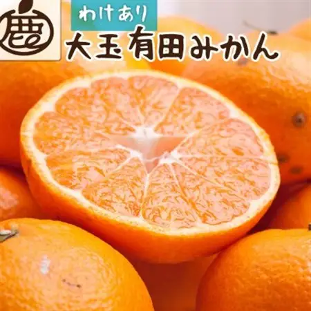 家庭用 大きな有田みかん10kg+250g(傷み補償分)【光センサー選果】【訳あり・わけあり】【配送不可地域：離島・北海道・沖縄県】【1313704】