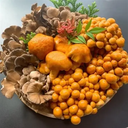 白山の幸(竹)_野菜  きのこ _【配送不可地域：離島・北海道・沖縄県】【1259400】