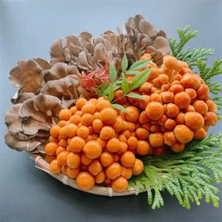 白山の幸セット(梅)_野菜  きのこ _【配送不可地域：離島・北海道・沖縄県】【1301303】