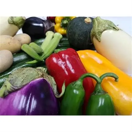 徳島県藍住町　あんちゃんふぁーむの季節の新鮮野菜セット(5品目以上)【配送不可地域：離島・北海道・沖縄県】【1084715】