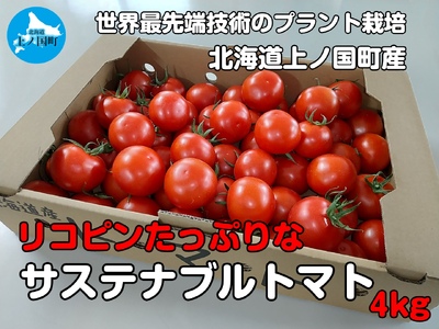 寅福菜園の高リコピントマト「サステナブルトマト」　4㎏